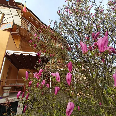 بيت ضيافة Casa Tudor