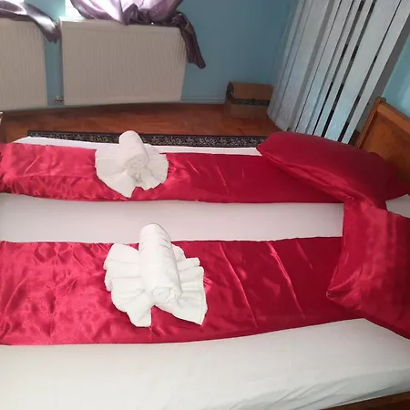 Casa Tudor 3* توردا